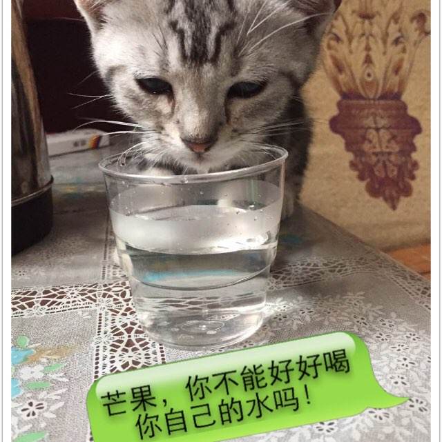 韩国祥明大学ID学生卡